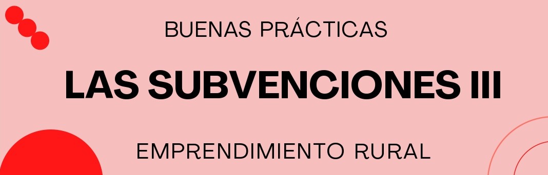 Subvenciones III