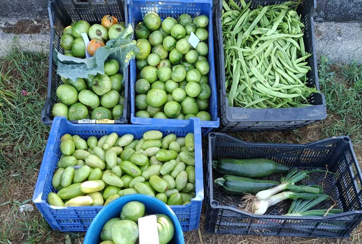 Producto para practicar el corte