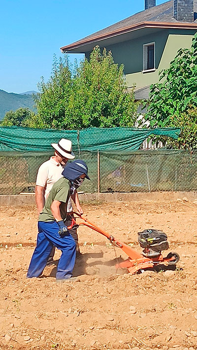 Finca 1