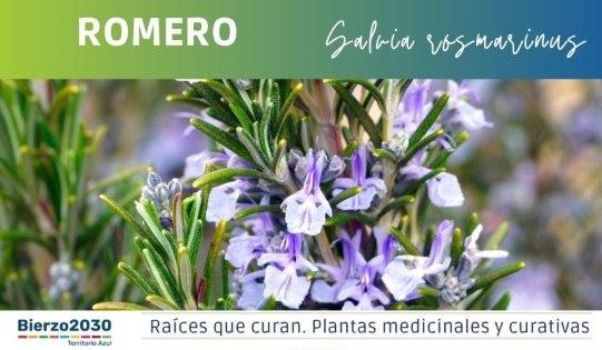 Romero