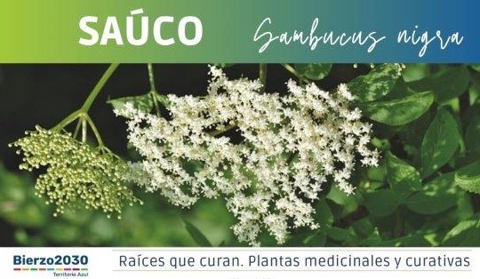 Sa&uacute;co