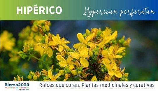 Hip&eacute;rico