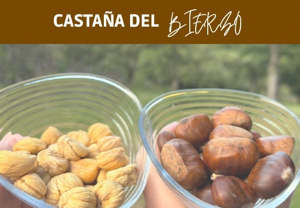 Castaña