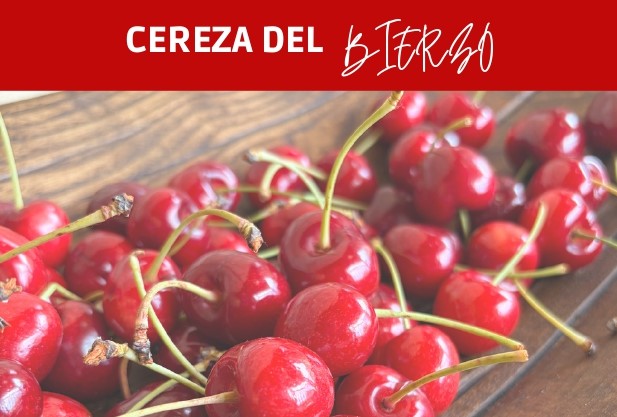 Careza