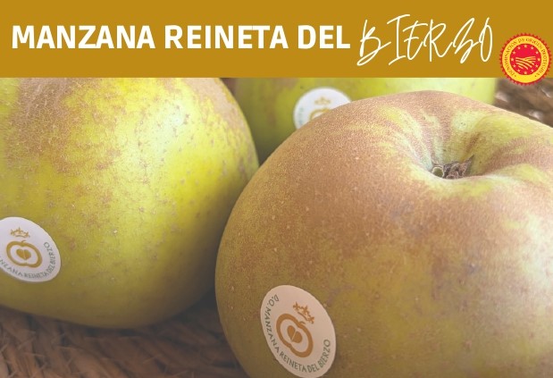 Manzana Reineta