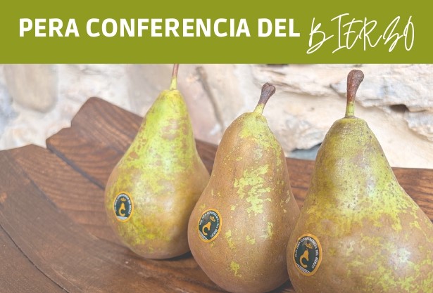 Pera conferencia