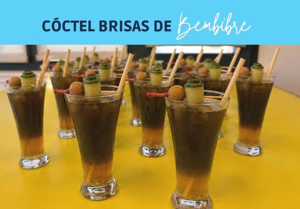 Brisas