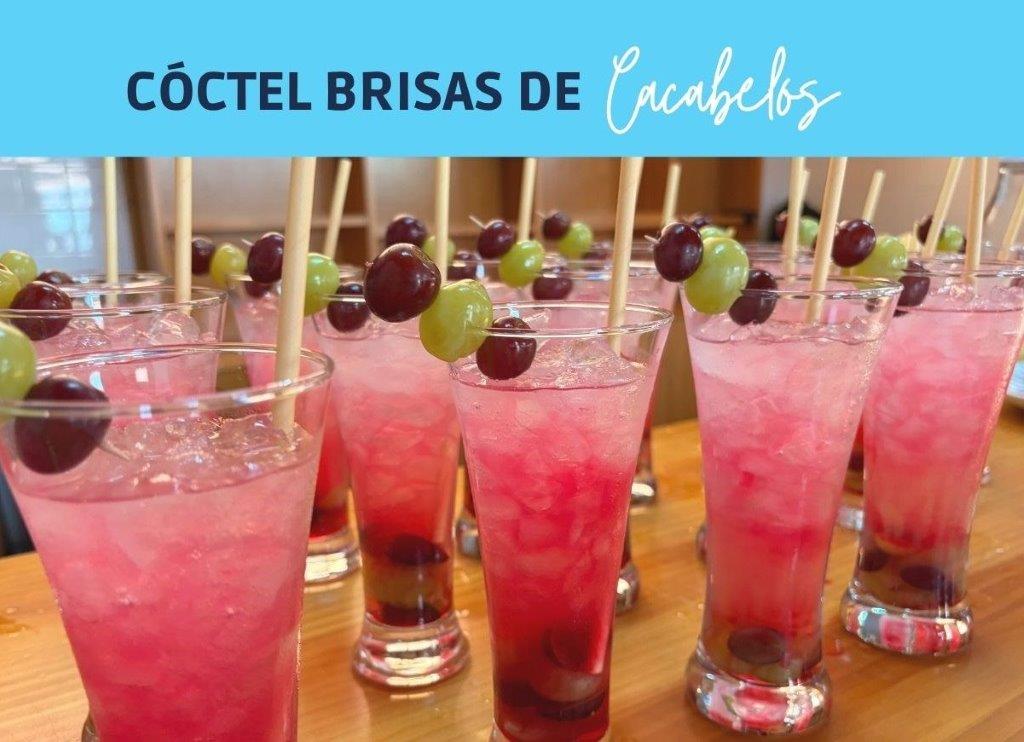 Brisas