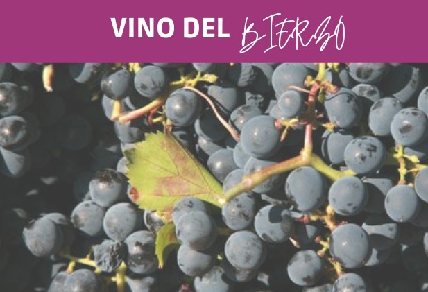 Vino del Bierzo