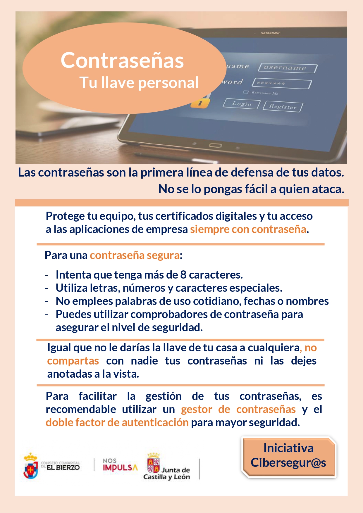 Cartel Seguridad en las contraseñas