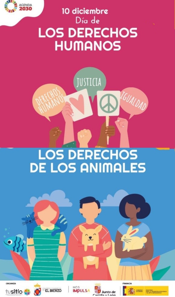 Día Internacional de los DDHH y de los Animales