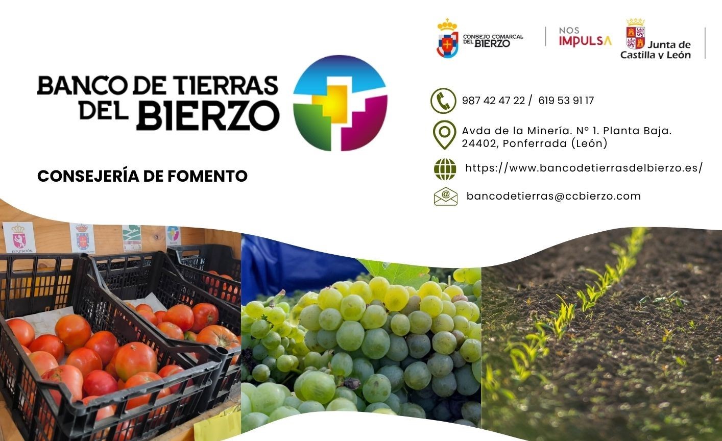 Banco de Tierras