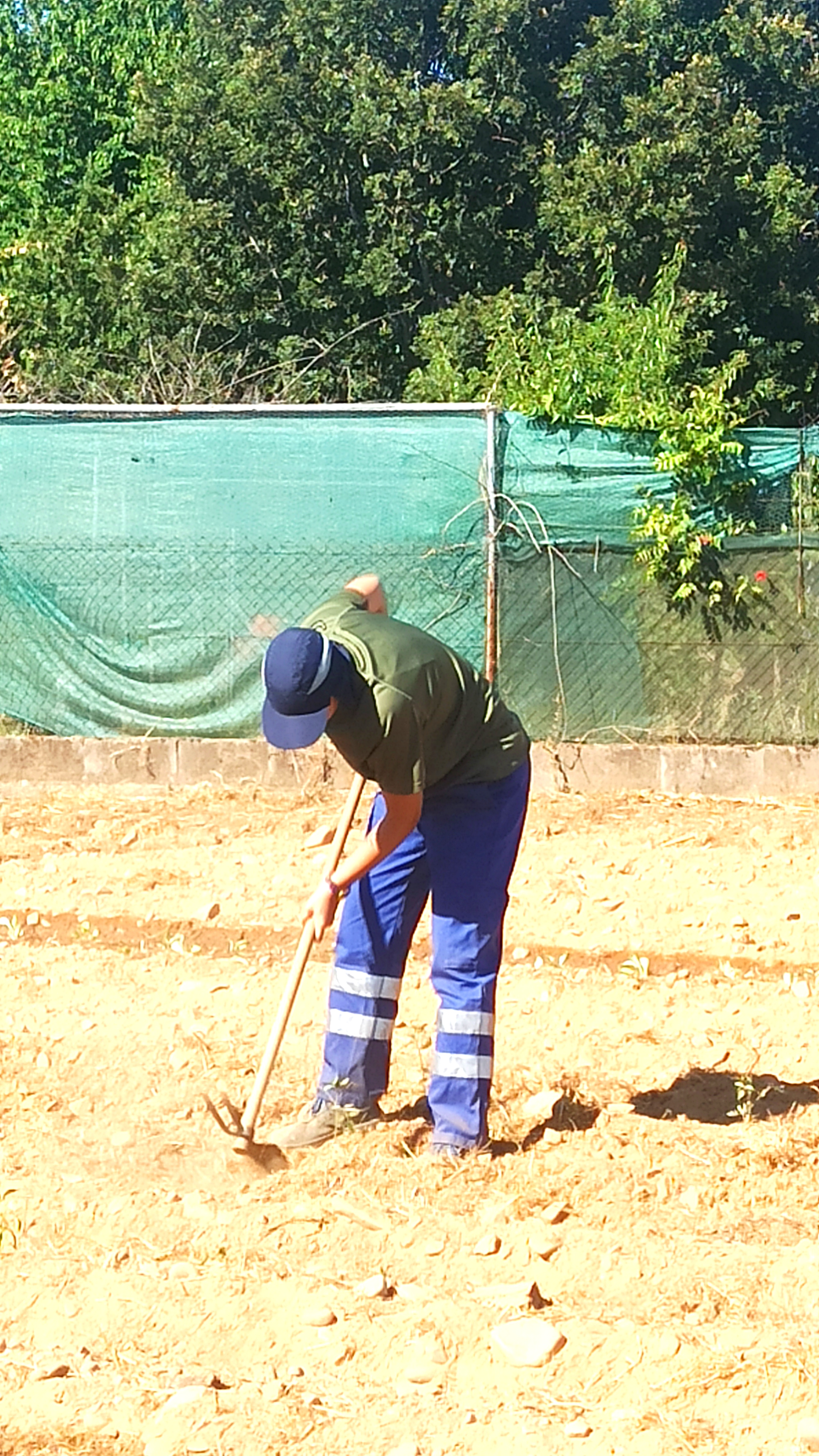 Finca 5