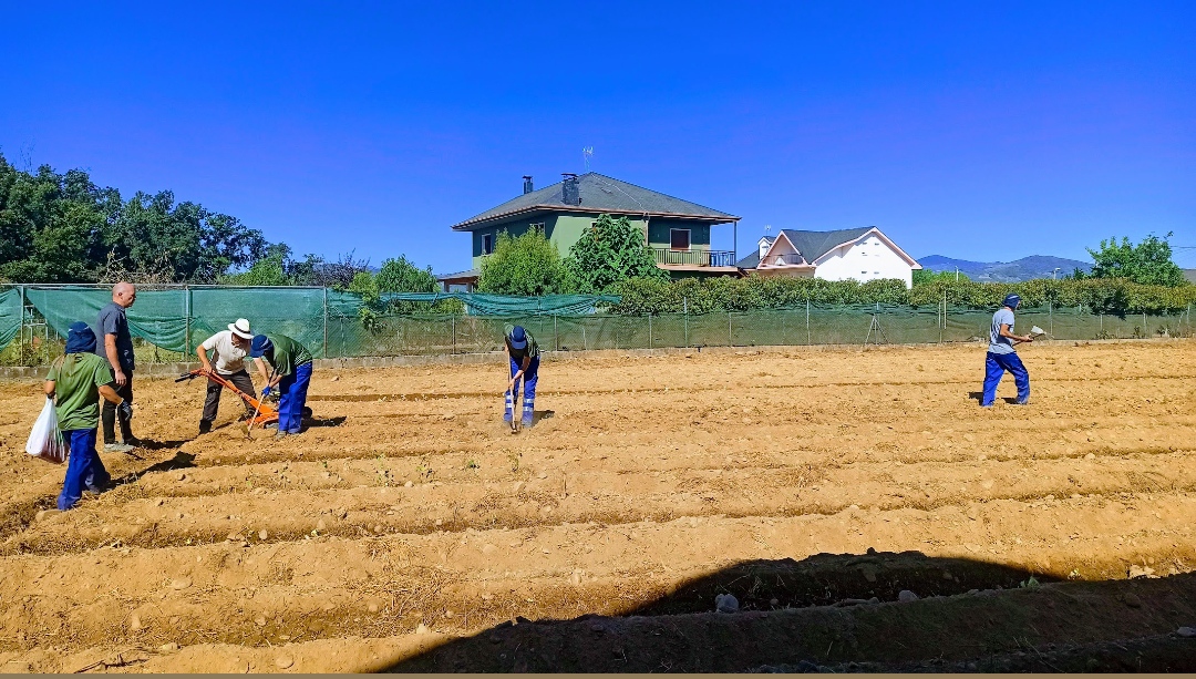 Finca 2